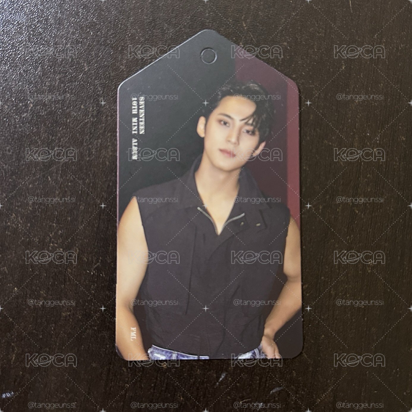 seventeen 珉奎專輯書籤