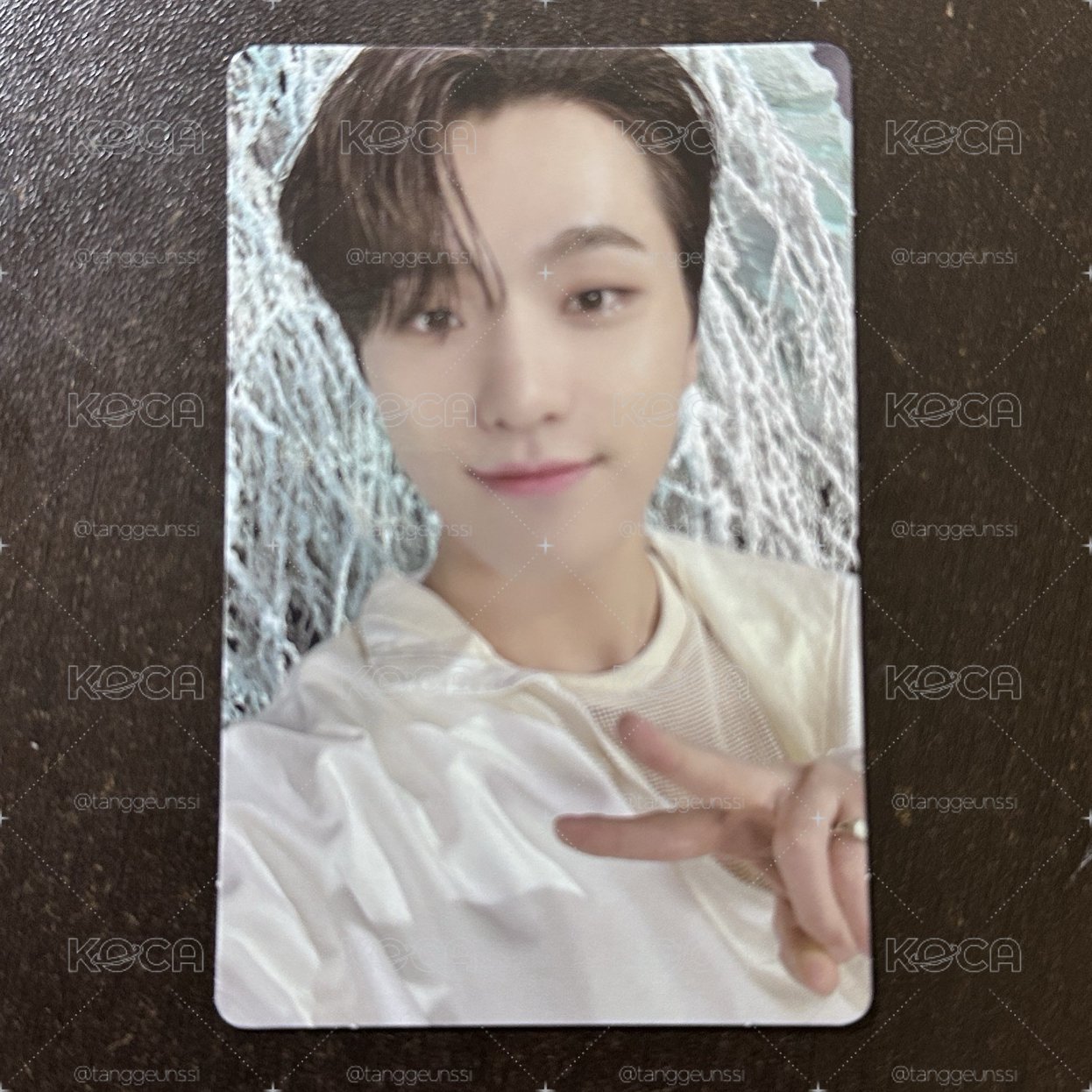 seventeen Dino 