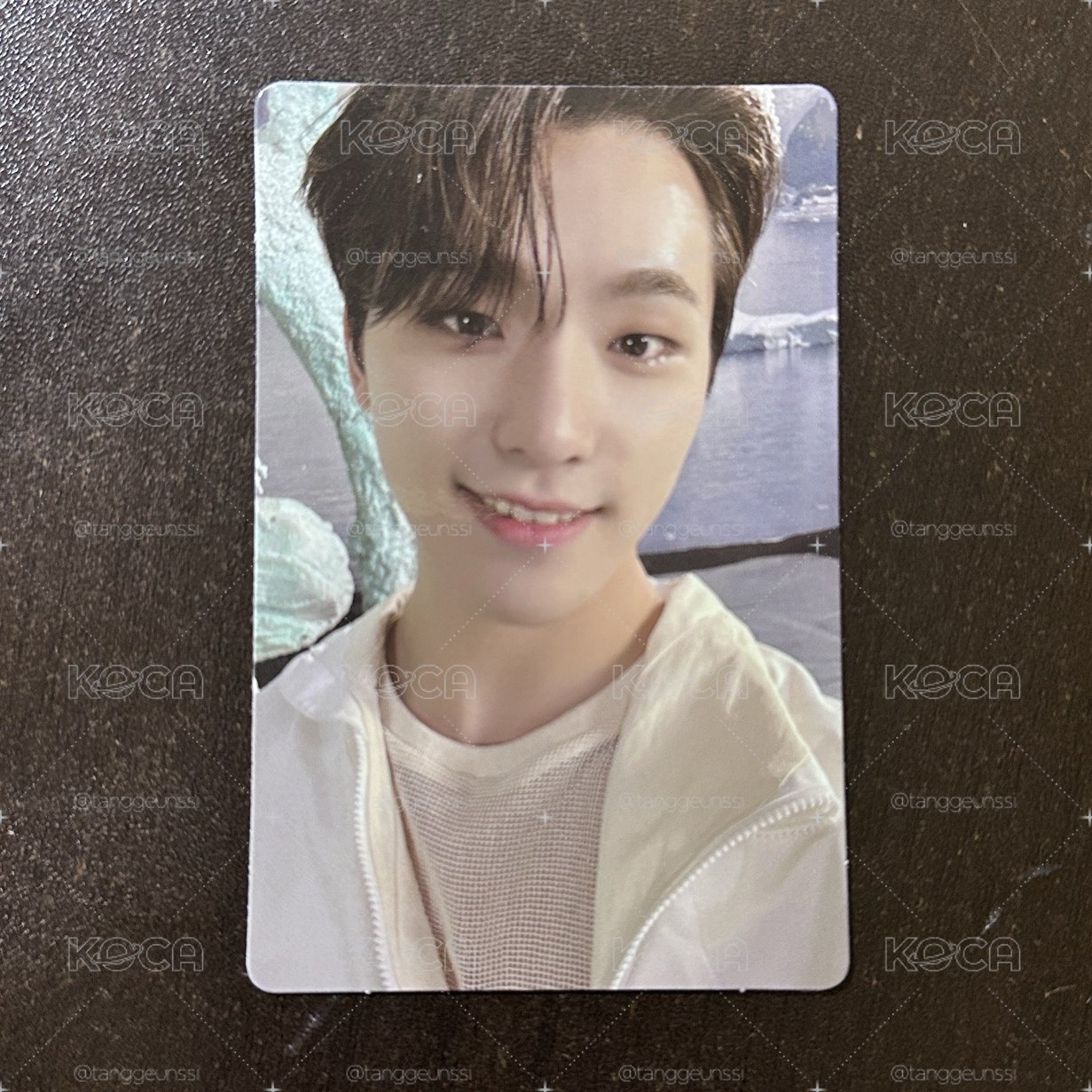 seventeen Dino 