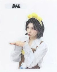 正規一 am 咖啡店 4.0 貼紙 動物塑 贈品