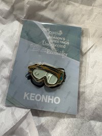 游泳男安乾鎬 泳鏡徽章