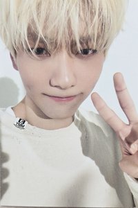 26年曆 wvs 特典卡 