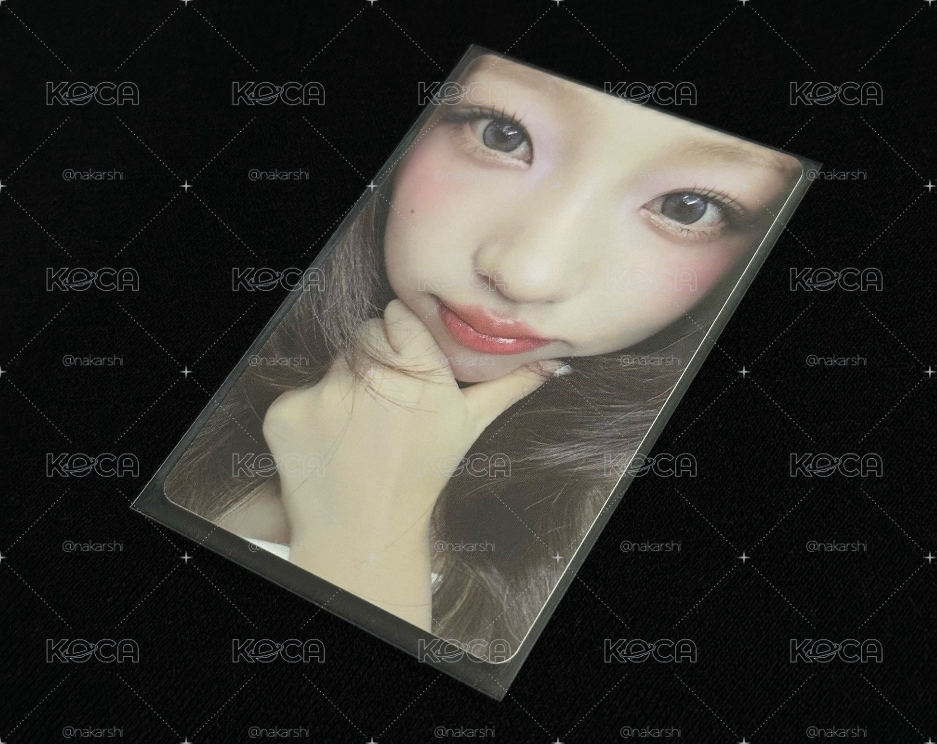 H2H Focus smini Stella專卡