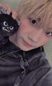 blackout 娃專 專輯卡 