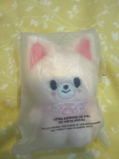 Straykids 五期全新飯咪娃