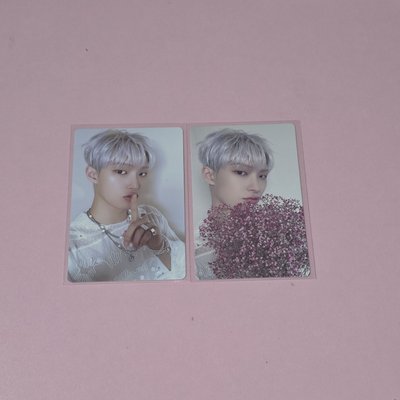 噓！聽我說！哪個才是花？