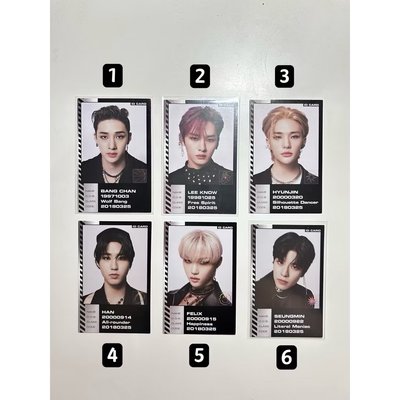 StrayKids 小卡 方燦  李旻浩 徐彰彬 黃鉉辰 韓知城 李龍馥 金昇玟 梁精寅