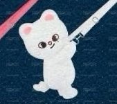 辰 側背娃