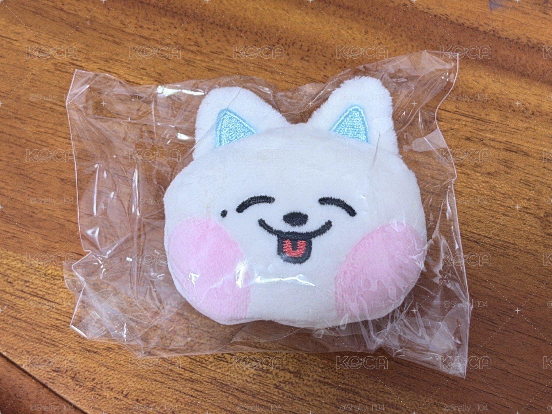 line friends 帝努、仁俊 徽章