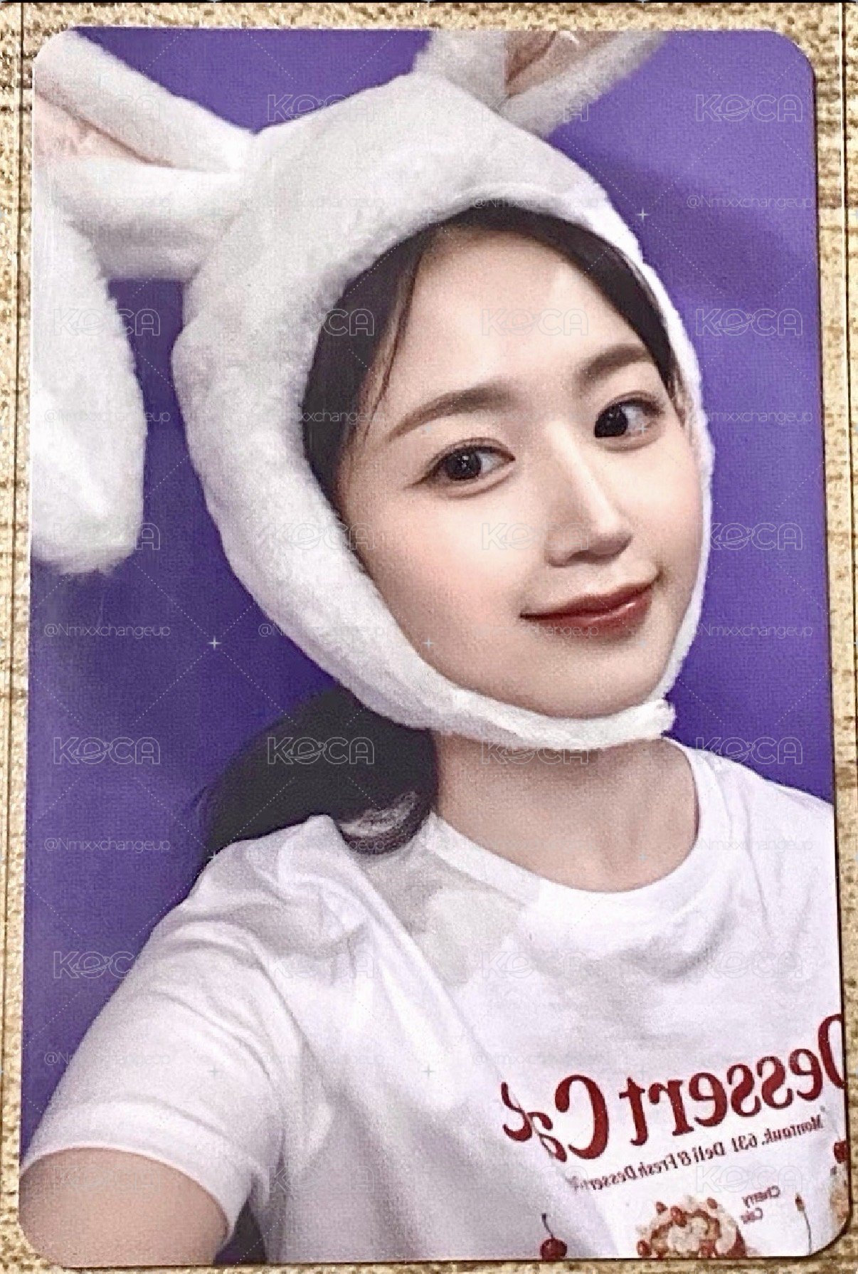 兔子嫄🩵