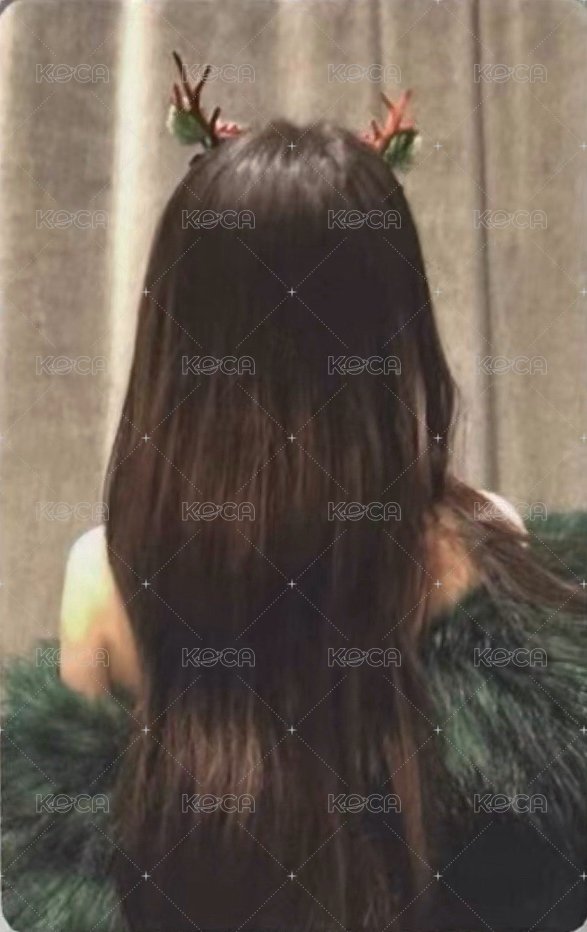 7巡 241221 入場卡 / 場限卡  背面