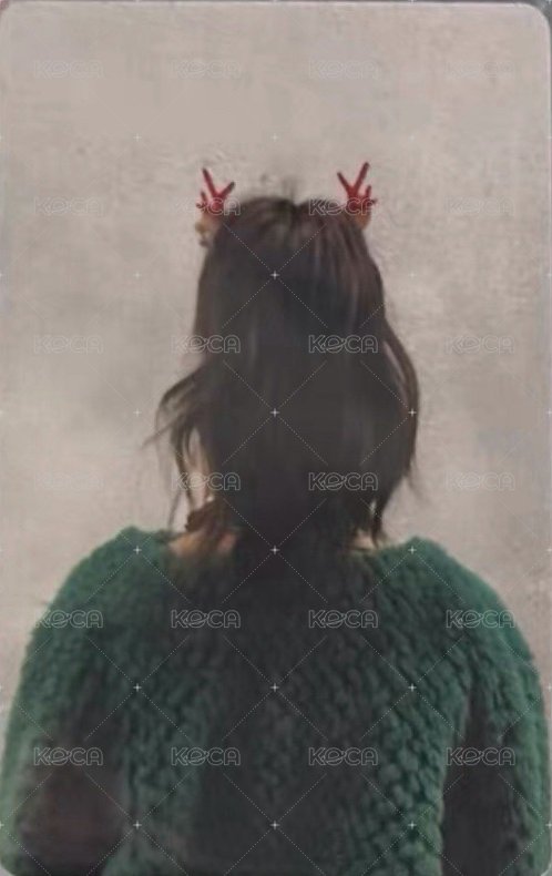 7巡 241221 入場卡 / 場限卡  背面