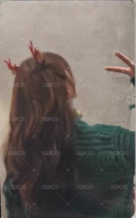 7巡 241221 入場卡 / 場限卡  背面