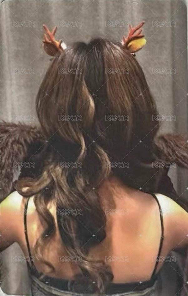 7巡 241221 入場卡 / 場限卡  背面