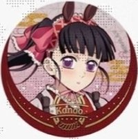 馬年 徽章 香奈乎