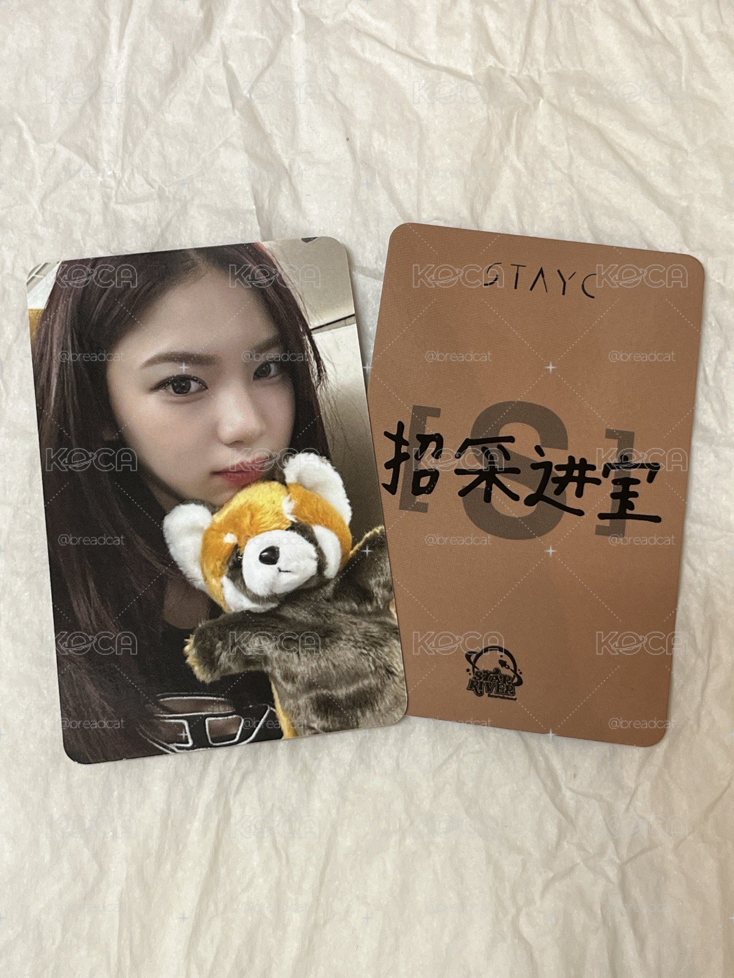 STAYC ISA S Bebe sr 小熊貓莎 中文卡背 中背