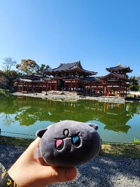 踢踢