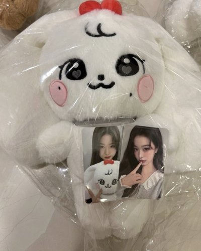 IVE minive 30公分娃 安安 小員