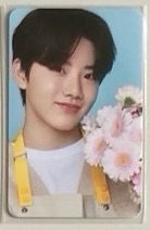 花店 鐵盒官拍 周邊卡 