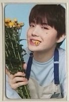 花店 鐵盒官拍 周邊卡 