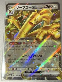 太晶慶典ex 鋼系 RR 日版 賽富豪 RR 117/187