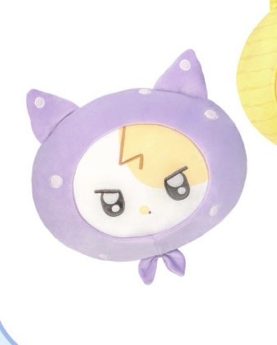 IU 2025 POP-UP STORE 周邊 抱枕 卡套 明信片照片 娃娃吊飾 扭蛋 手燈芯