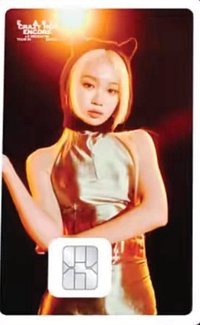 25‘巡迴 交通卡 namane