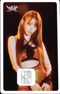 25‘巡迴 交通卡 namane