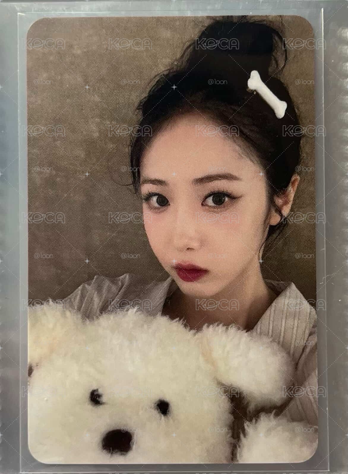 正一HL狗狗飛