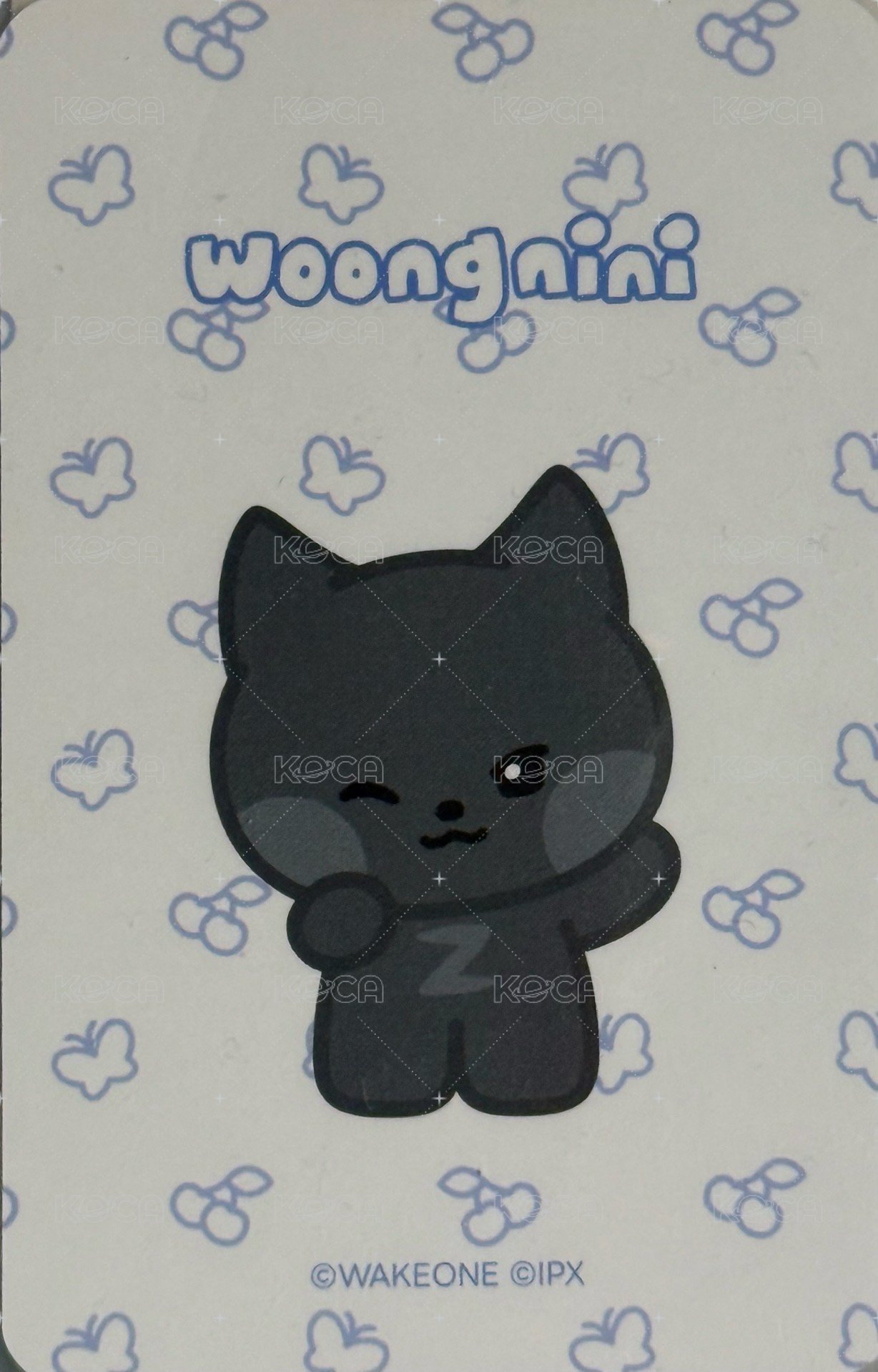 zeroni HOME PARTY  周邊卡 卡套卡 背面