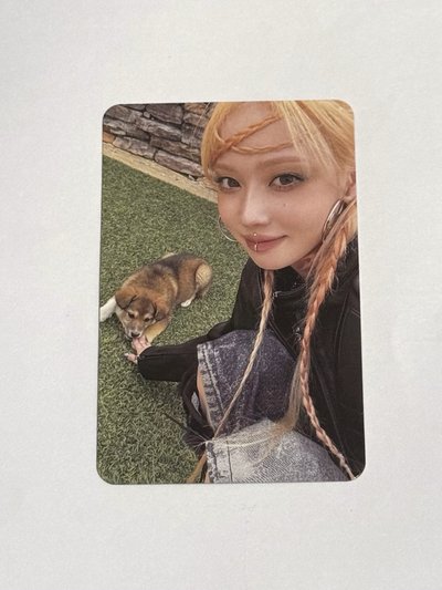 冬🐶