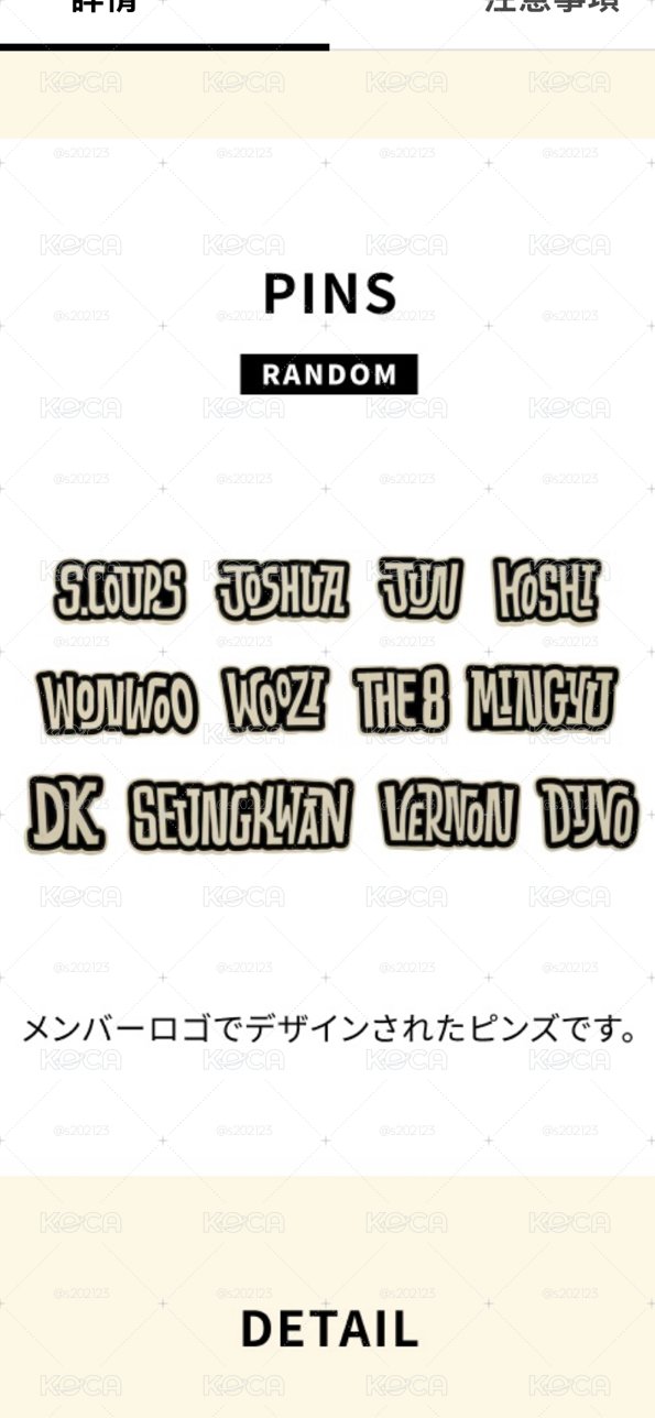 SEVENTEEN 2025日本FM Holiday pin章