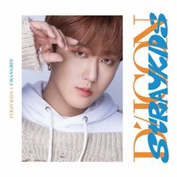 DICON D'FESTA 寫真集 