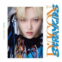 DICON D'FESTA 寫真集 