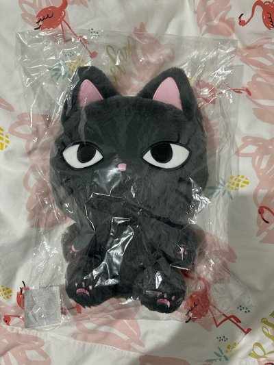 aespa二巡安可場 30cm 吉娃