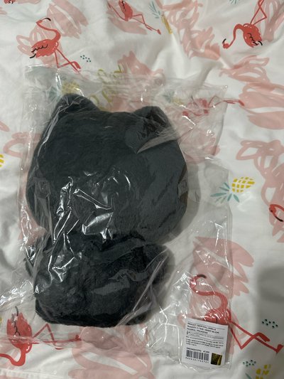 aespa二巡安可場 30cm 吉娃