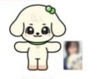 MINIVE SCHOOL 大娃 