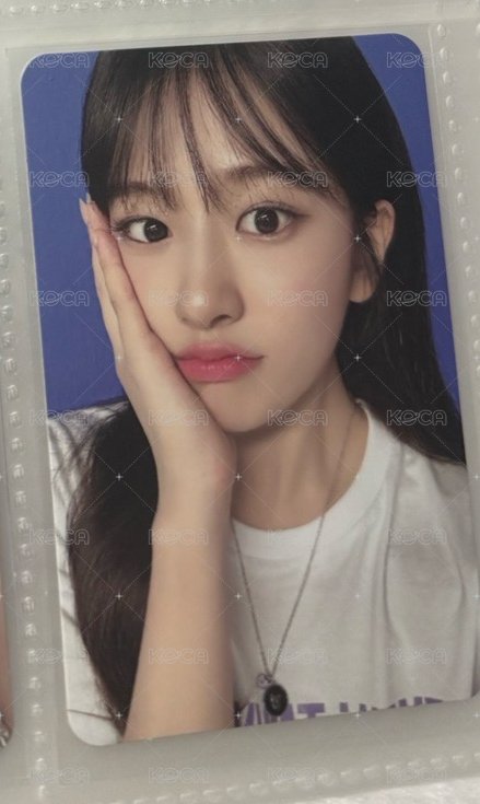 捧臉小狗