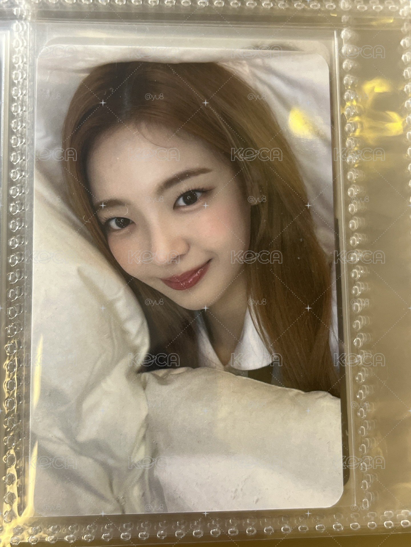 被子粒