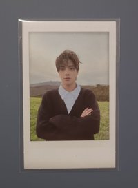 小狗獨自風中凌亂