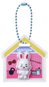 萬代聯名 MINITEEN 吊飾 