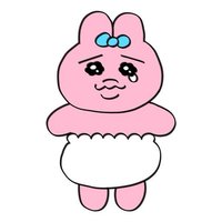 櫻桃大丸子