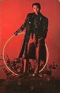 SET 專輯卡 QR PHOTOCARD 