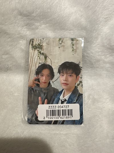 貓狗宿舍 長大了不會燒廚房🍳