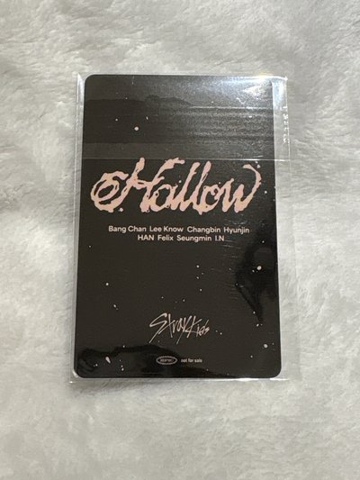 貓狗宿舍 長大了不會燒廚房🍳