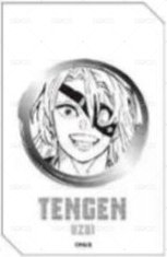 JS 閃卡 全息卡 背面