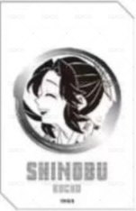 JS 閃卡 全息卡 背面