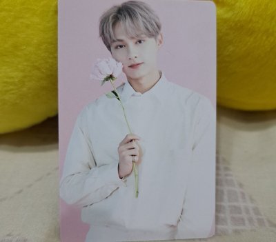 23年首爾咖啡廳卡包卡