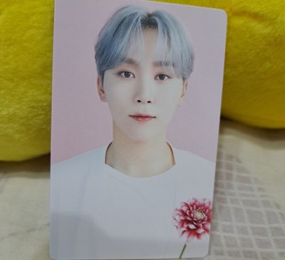 23年首爾咖啡廳卡包卡