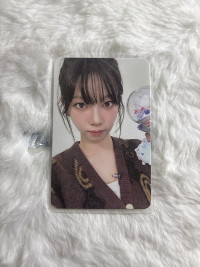 二巡 周邊卡 寫真pb柚